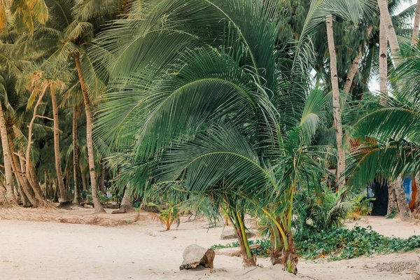Alquileres de EnsueÃ±o para Aventuras TurÃ­sticas